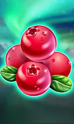 Winterberries