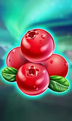 Winterberries