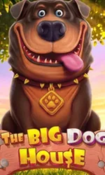The Big Dog House